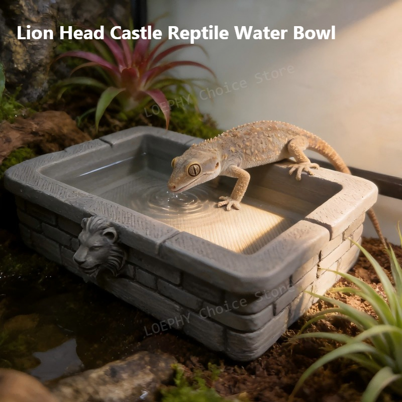 Water Dish Reptile - Kale Reptil Su Kabı Aslan Başı