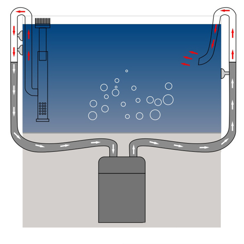 Yeni balık tankı zambak boru p - Aquael Filter Fzn incelemesi ve fiyatı